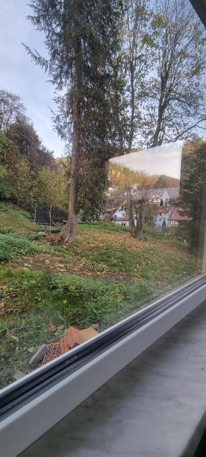 Sm Apartment Triberg im Schwarzwald Екстериор снимка
